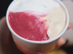 -Dip in Gelato(富民路店)
