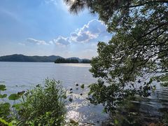 -东湖落雁景区
