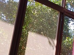 -芜湖新华联大白鲸海洋公园