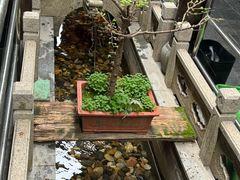 -唔呶喔哩酒家(生产街店)