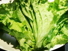 -草原塞蛮羊火锅城(港湾店)