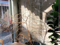 -VOYAGE COFFEE 咖啡烘焙工坊店(798艺术区店)