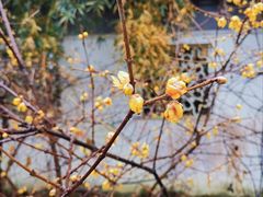 -宜兴龙背山森林公园