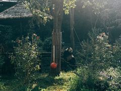 -云南野生动物园