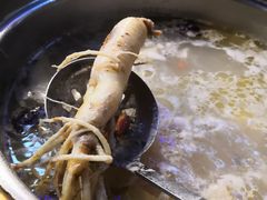 -千岛蚝高压锅生蚝·人参火锅(白云万达店)