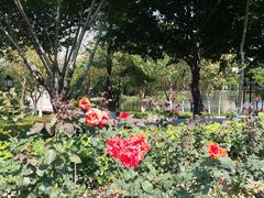 -映月湖公园
