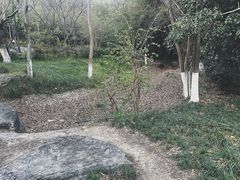 -金鸡湖桃花岛