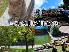 -深圳野生动物园