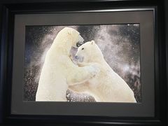 -罗红摄影艺术馆