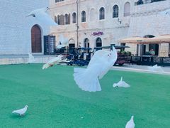 -华谊兄弟（长沙）电影小镇