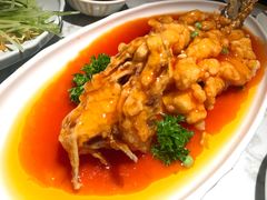 -老知青·东北菜(中华城店)