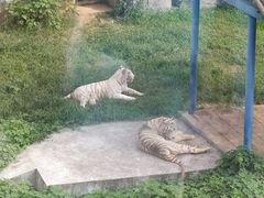 -无锡动物园·太湖欢乐园