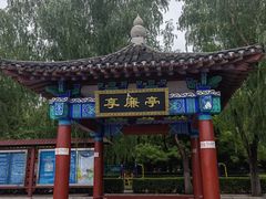 -莲花池公园