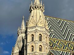 -斯蒂芬主教座堂(Stephansdom)
