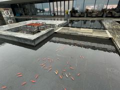 -南太湖山庄·四季轩&国风堂中餐厅