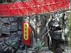 -长春中泰海洋世界