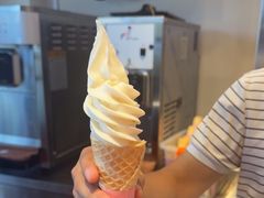 -萨朗刀克冰淇淋雪花凉(植物园店)