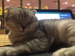 -MIKAKU(万达广场上海宝山店)