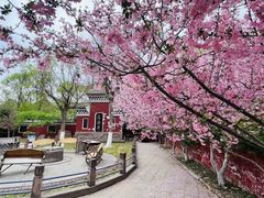 -济南国际园博园