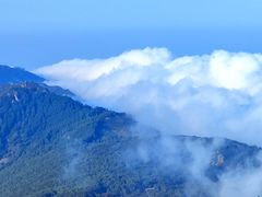 -白草畔自然风景区