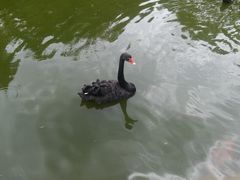 -昆明动物园