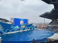 -上海海昌海洋公园