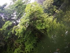 -保利石象湖景区