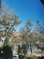 -哈佛宝贝月子会所(登封店)