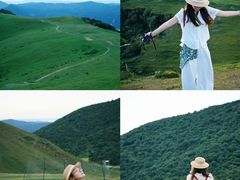 -大姆山草场