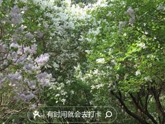 -颐和园