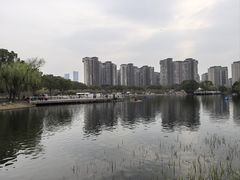 -新江湾城公园