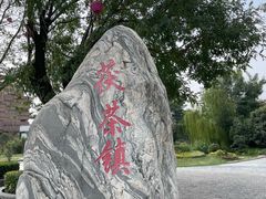 -茯茶镇