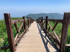 -北京鹫峰国家森林公园