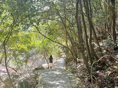 -鄣山大峡谷
