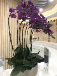 -润泽瑞尼丝医疗美容医院