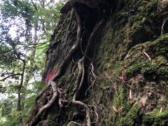 -西岭雪山大飞水景区