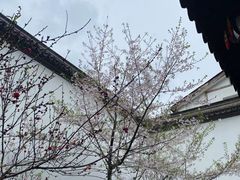 -河坊街景区