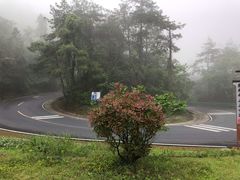 -祁门牯牛降观音堂风景区