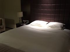 -上海浦东绿地铂骊酒店