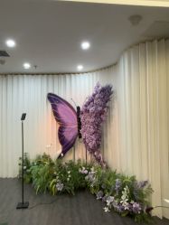 -苏州奥拉克美容医院