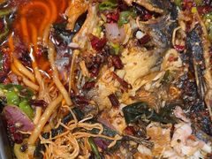 -古彭7只羊·招牌白串·碳锅羊肉旗舰店