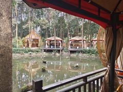 -二荆条·蜀鲜汇城市森林火锅