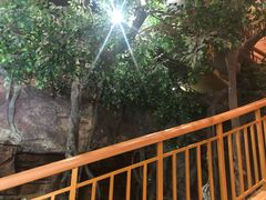 -阿斯牛牛·凉山菜(新会展店)