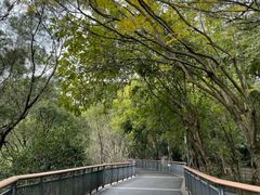 -金鸡山公园
