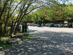 -泗洪洪泽湖湿地景区