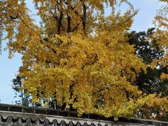 -宝光寺