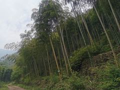 -众神白水涧景区