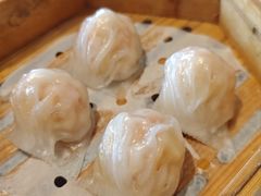 -韩上楼
