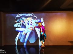 -东京塔海贼王主题公园