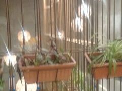 android_upload_pic-吴越荣记·苏州菜·松鼠桂鱼(斜塘老街店)